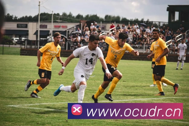 开云在线官方网站发展历程